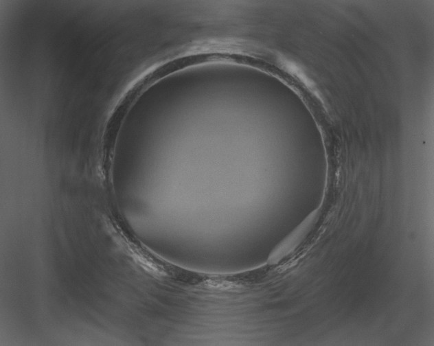 X0000084021312200702232221