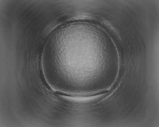 X0000084021313200702232221