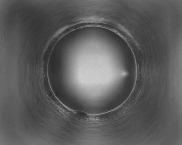 X0000084021315200702232221