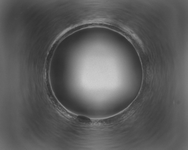 X0000084021316200702232221