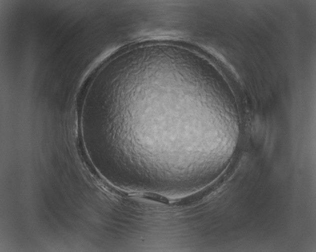 X0000084021317200702232221