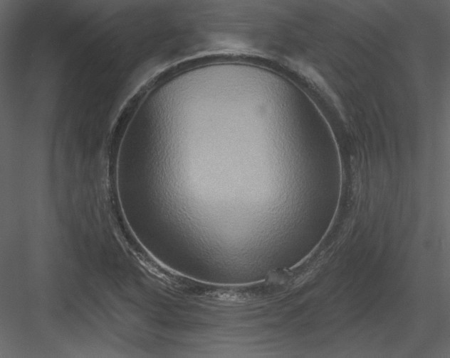 X0000084021318200702232221