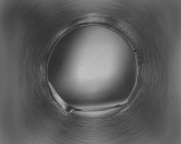 X0000084021321200702232221