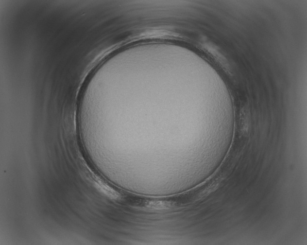 X0000084021322200702232221