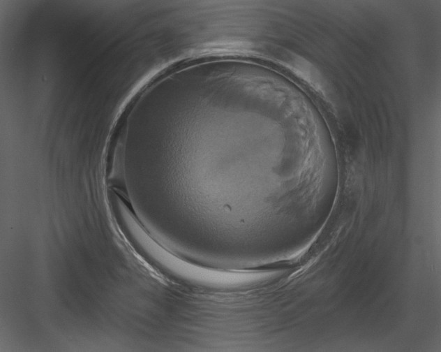 X0000084021325200702232221