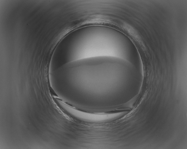 X0000084021329200702232221