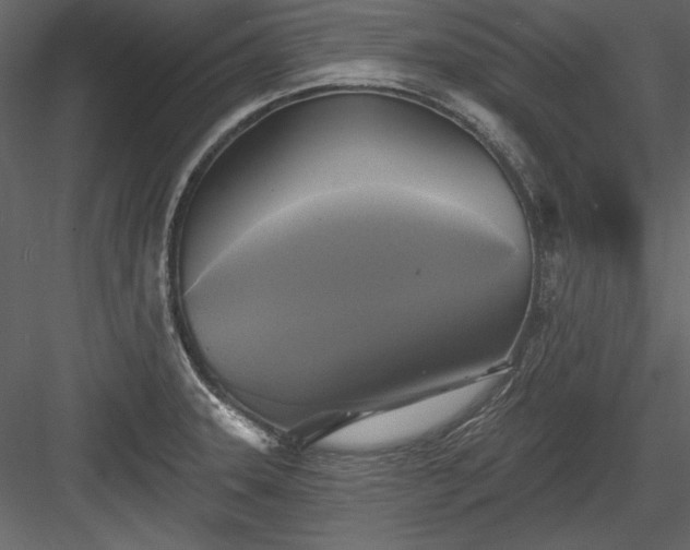X0000084021331200702232221