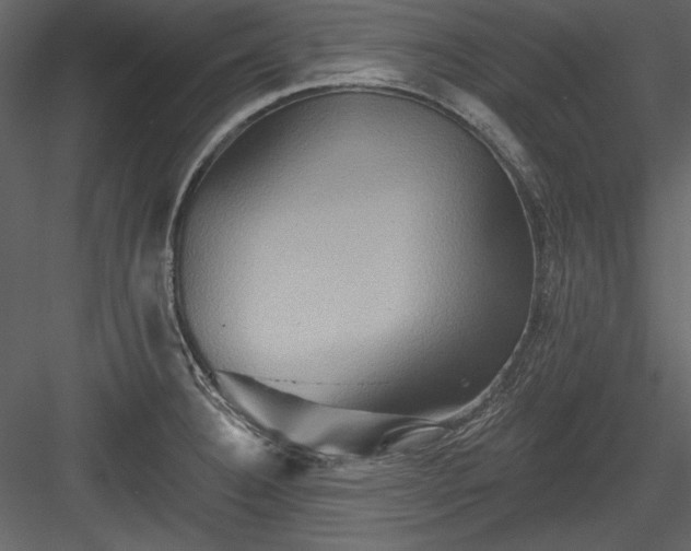 X0000084021332200702232221