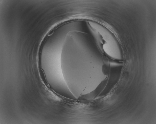 X0000084021334200702232221