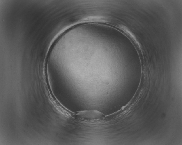 X0000084021336200702232221
