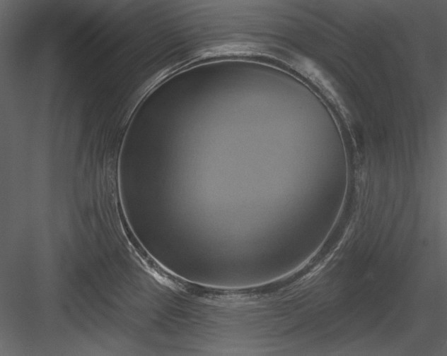X0000084021337200702232221