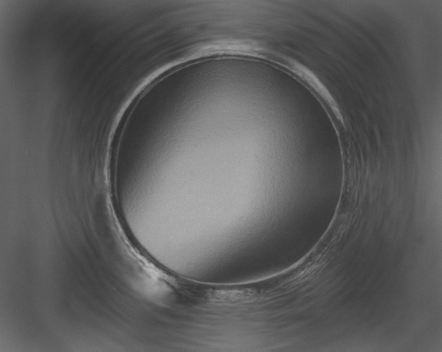 X0000084021339200702232221