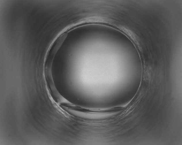 X0000084021342200702232222