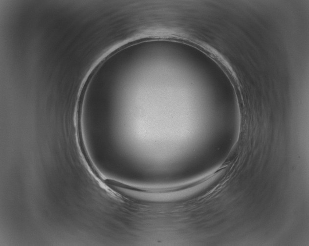 X0000084021343200702232222