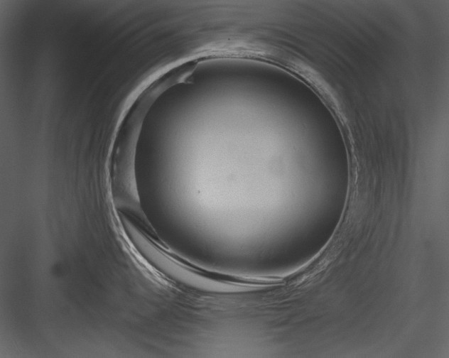 X0000084021344200702232222