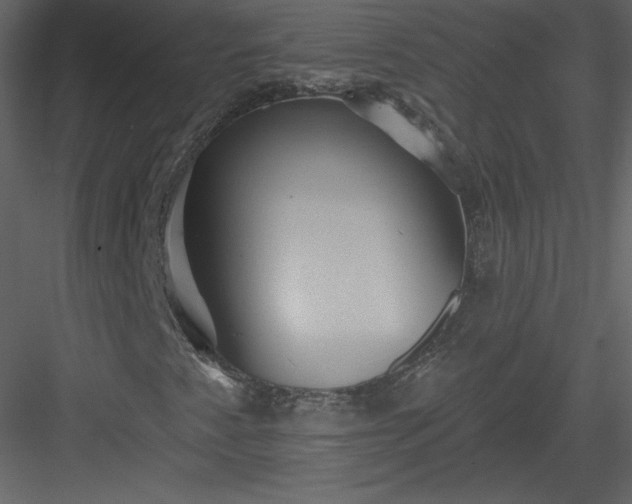 X0000084021345200702232221