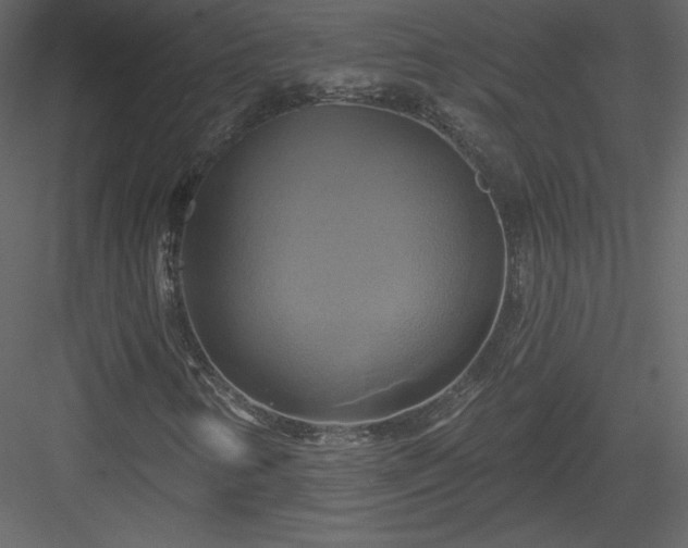 X0000084021346200702232221