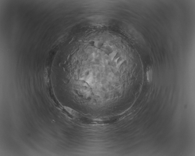 X0000084021347200702232221