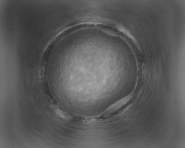 X0000084021352200702232221