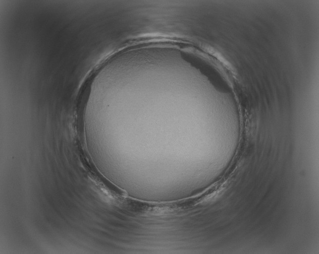 X0000084021357200702232220