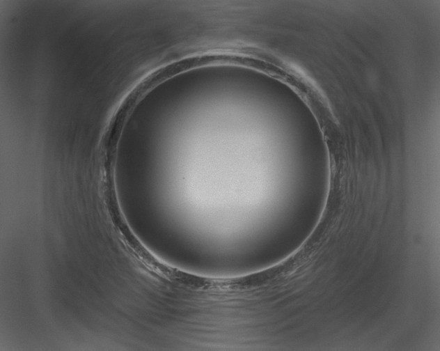 X0000084021360200702232220