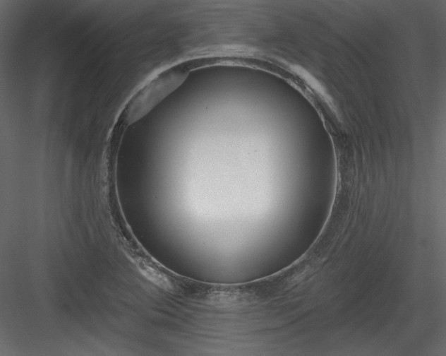 X0000084021364200702232220