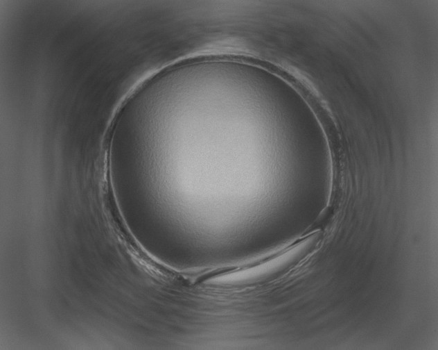 X0000084021366200702232220