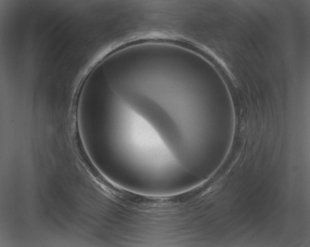X0000084021367200702232220