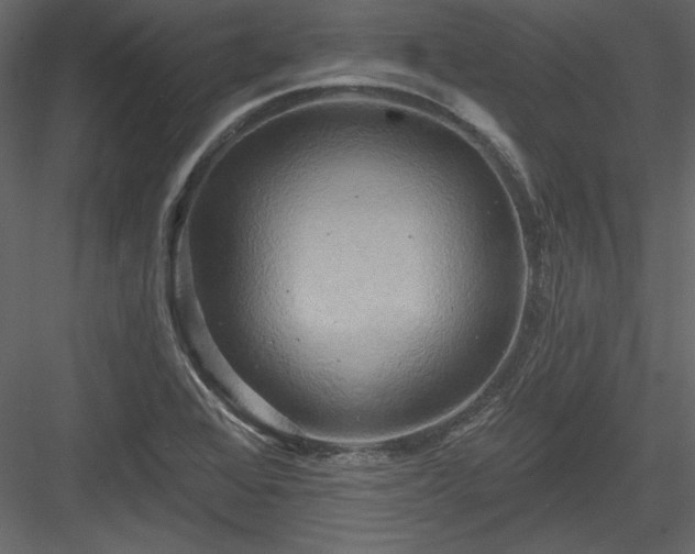 X0000084021368200702232220