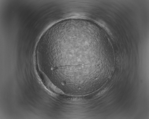 X0000084021375200702232220
