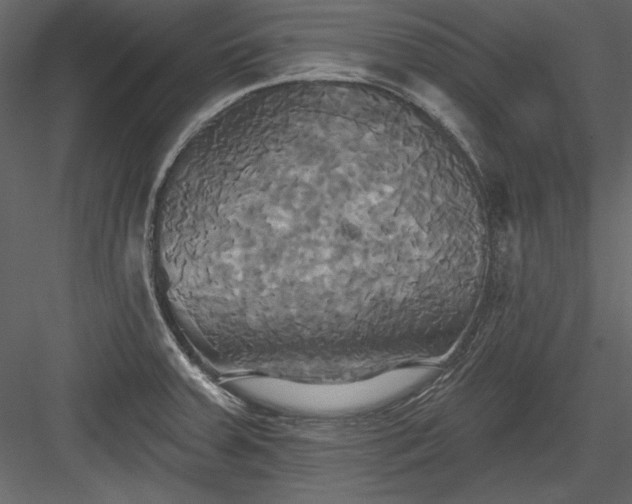 X0000084021379200702232220