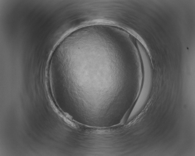 X0000084021381200702232220