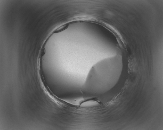 X0000084021383200702232220