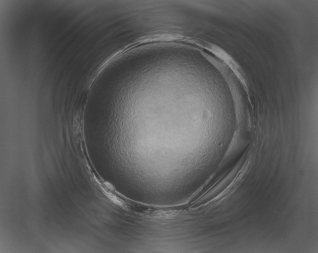 X0000084021385200702232220