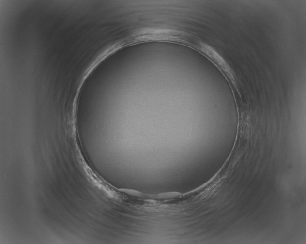 X0000084021386200702232220