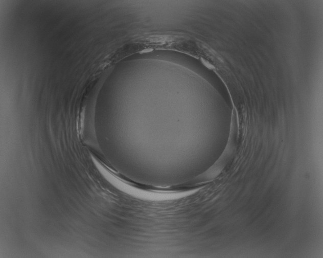 X0000084021394200702232219
