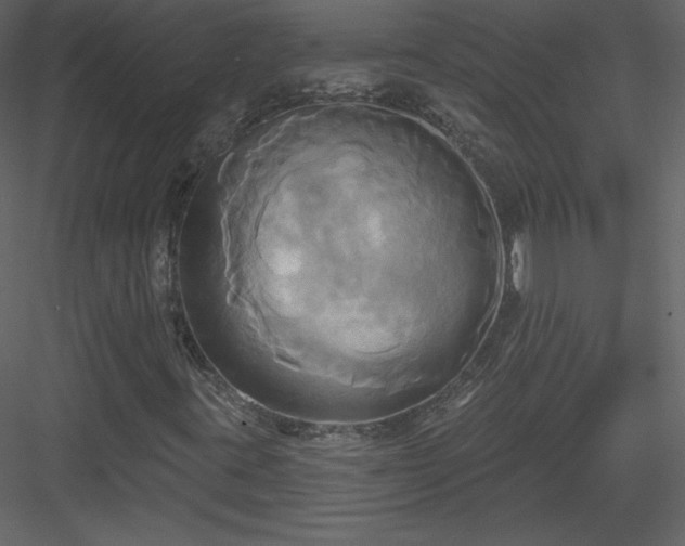 X0000084021395200702232219