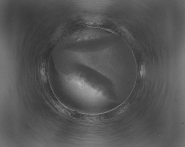 X0000084021396200702232219