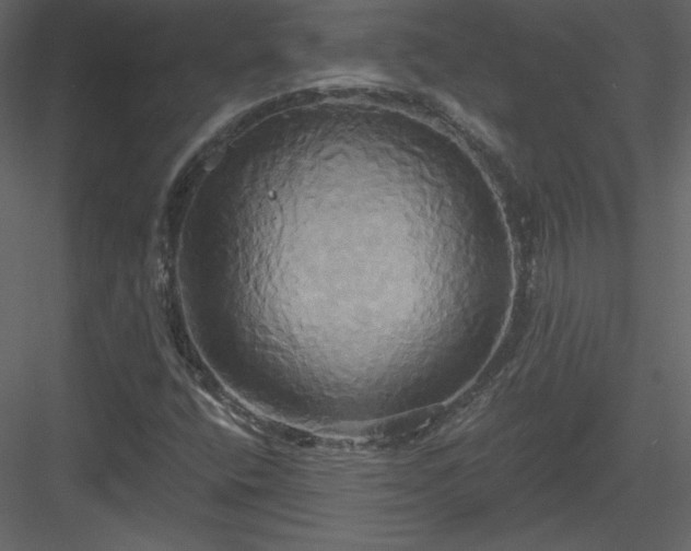 X0000084021400200702232219