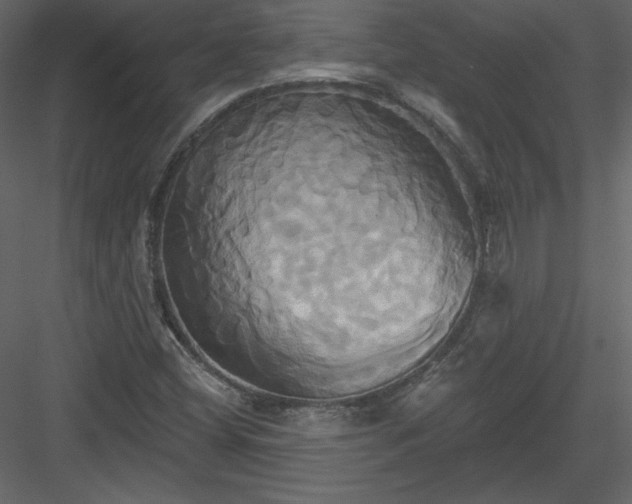 X0000084021404200702232219