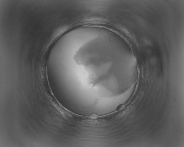X0000084021405200702232219
