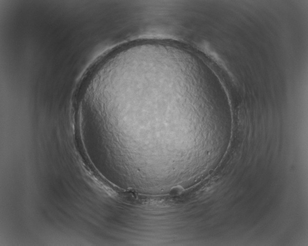X0000084021408200702232219