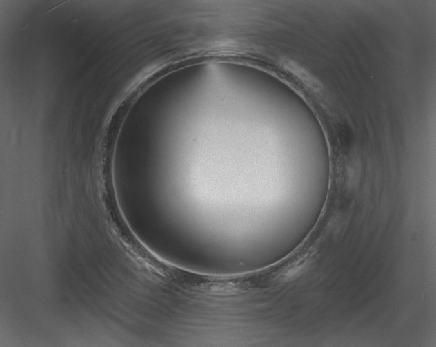 X0000084021410200702232219