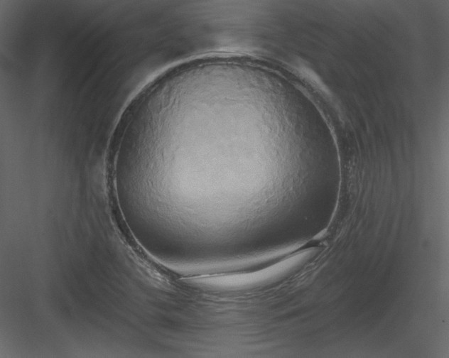 X0000084021412200702232219
