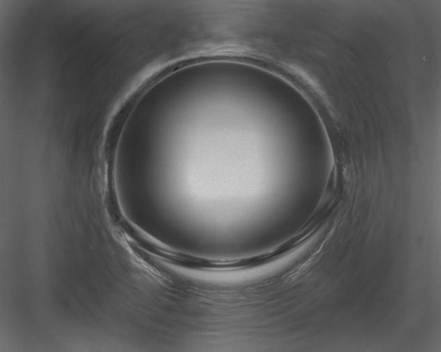 X0000084021414200702232219