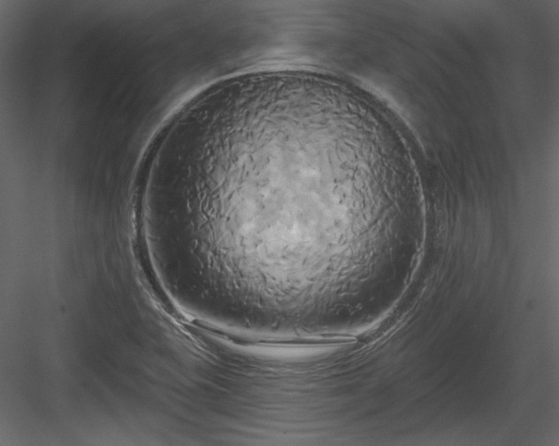 X0000084021415200702232219