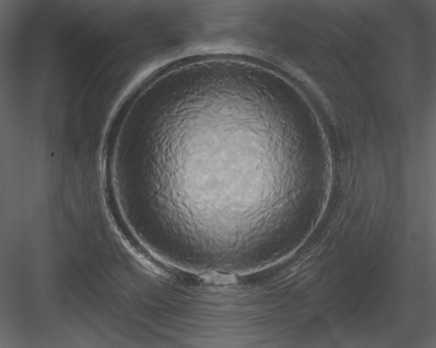 X0000084021416200702232219