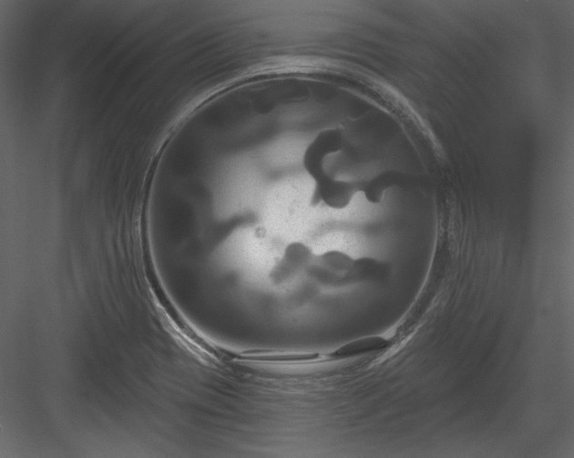 X0000084021417200702232219