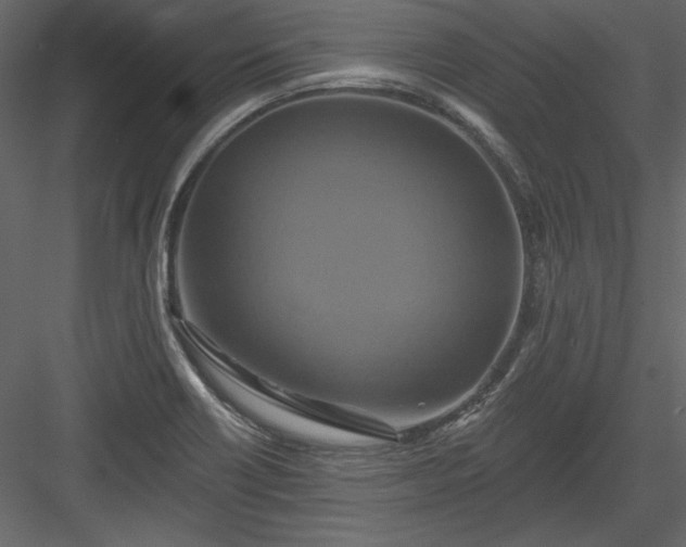 X0000084021418200702232219
