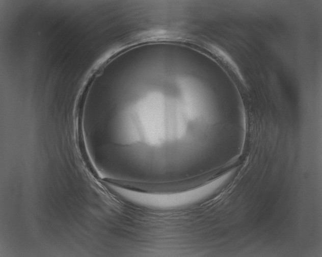 X0000084021419200702232219